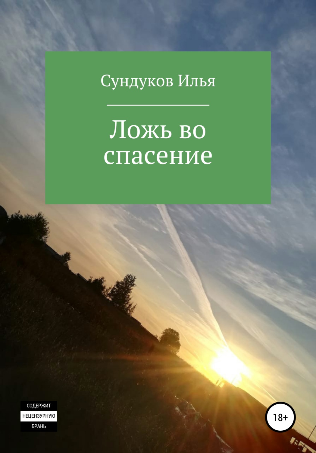Обложка книги «Ложь во спасение»