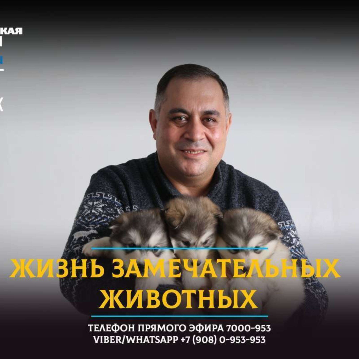 Обложка книги «Рисунки для львенка Симбы присылают со всей страны»