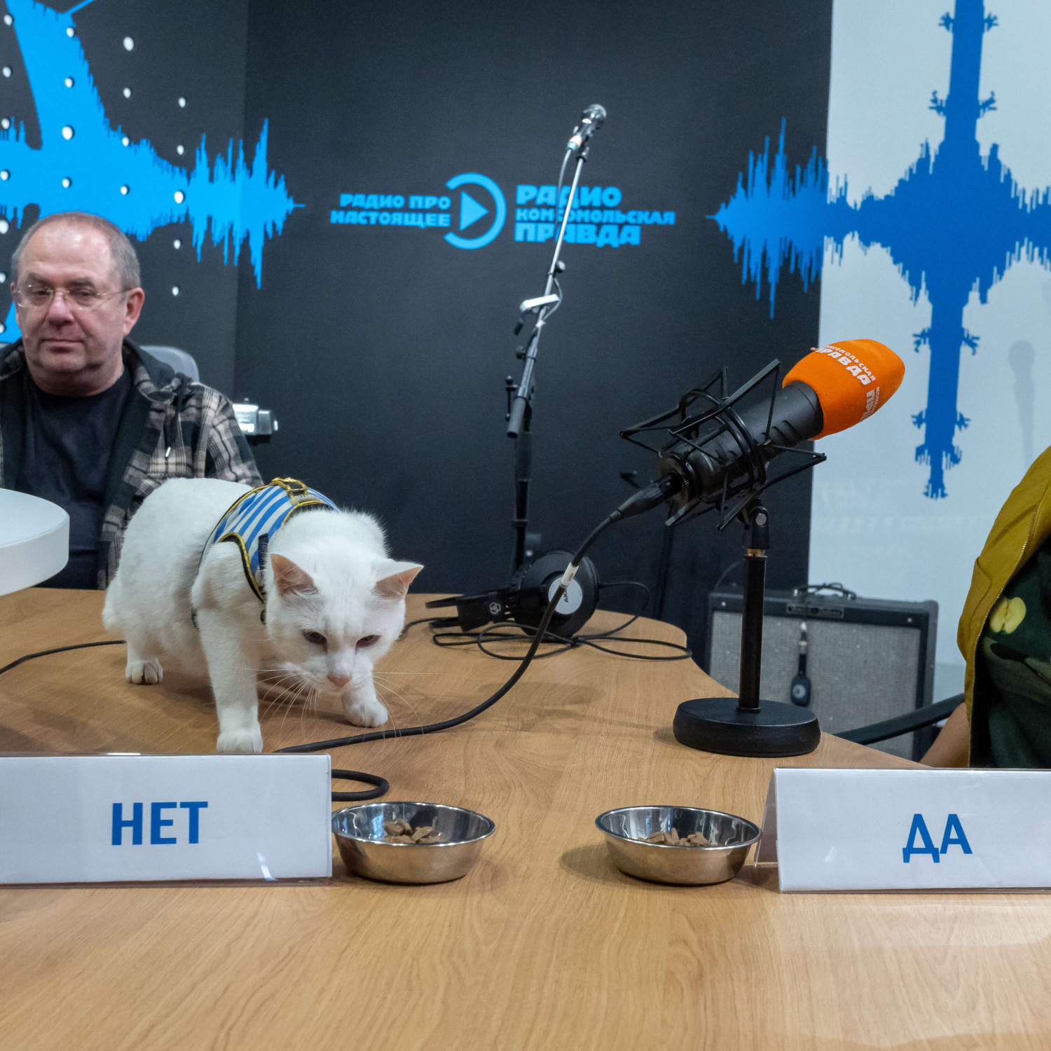 Обложка книги «Кот Ахилл: пандемия не закончится в этом году»