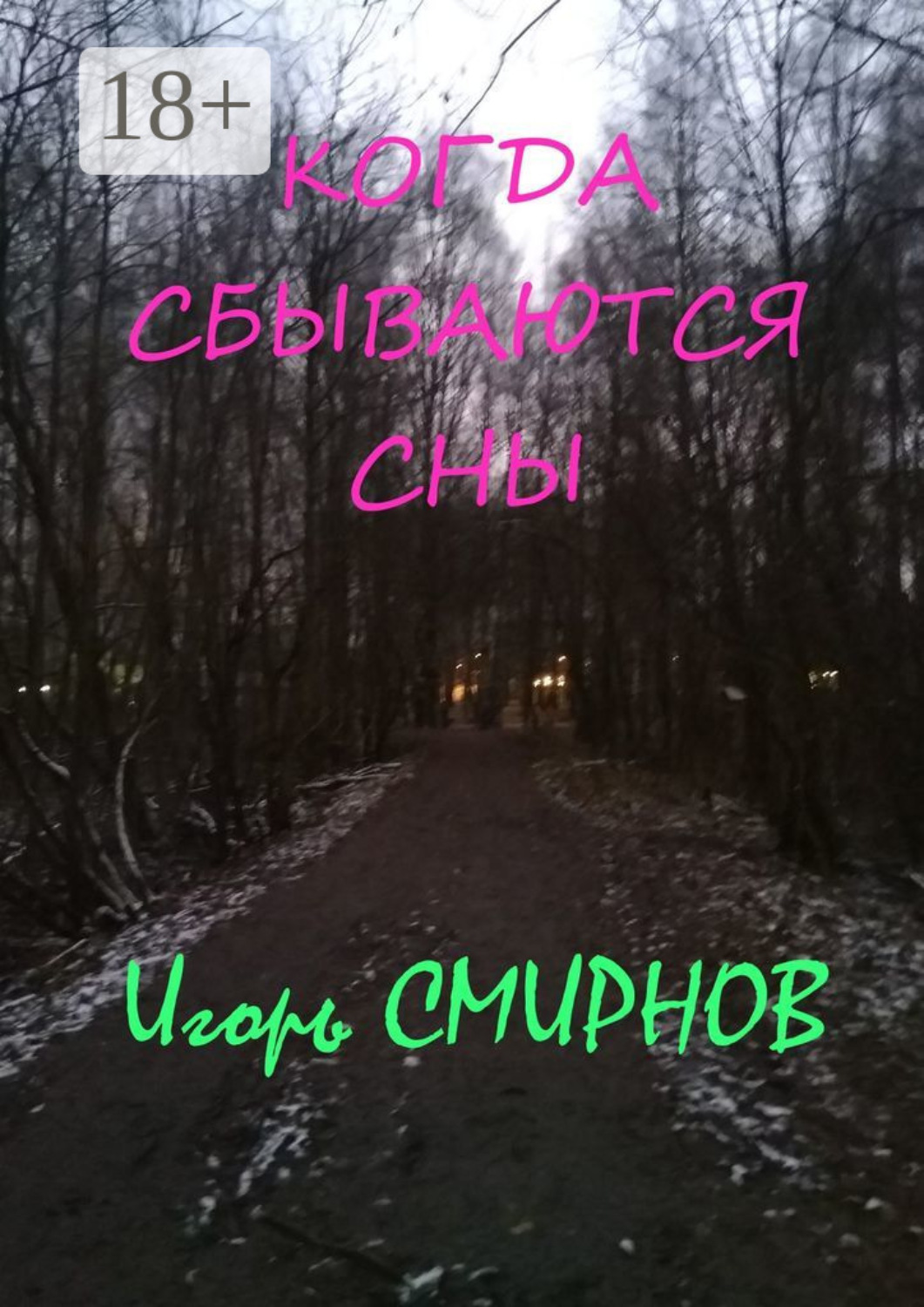 Обложка книги «Когда сбываются сны»