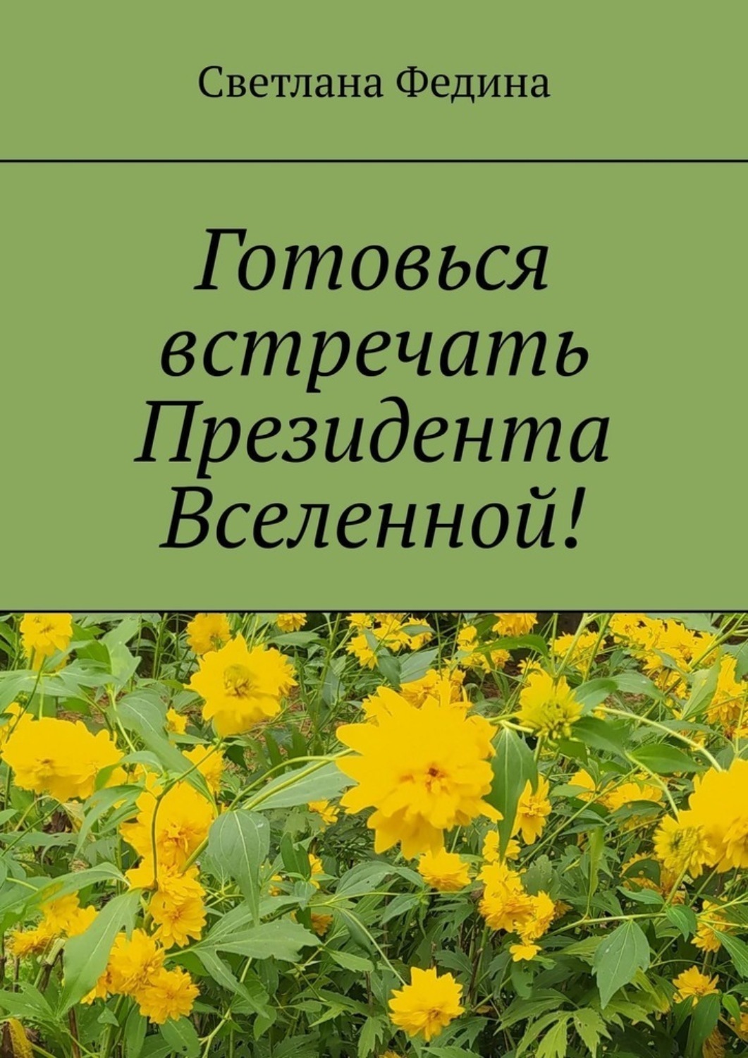 Обложка книги «Готовься встречать президента Вселенной! Христианские стихи»
