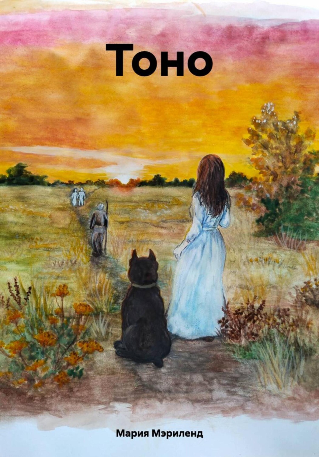 Обложка книги «Тоно»