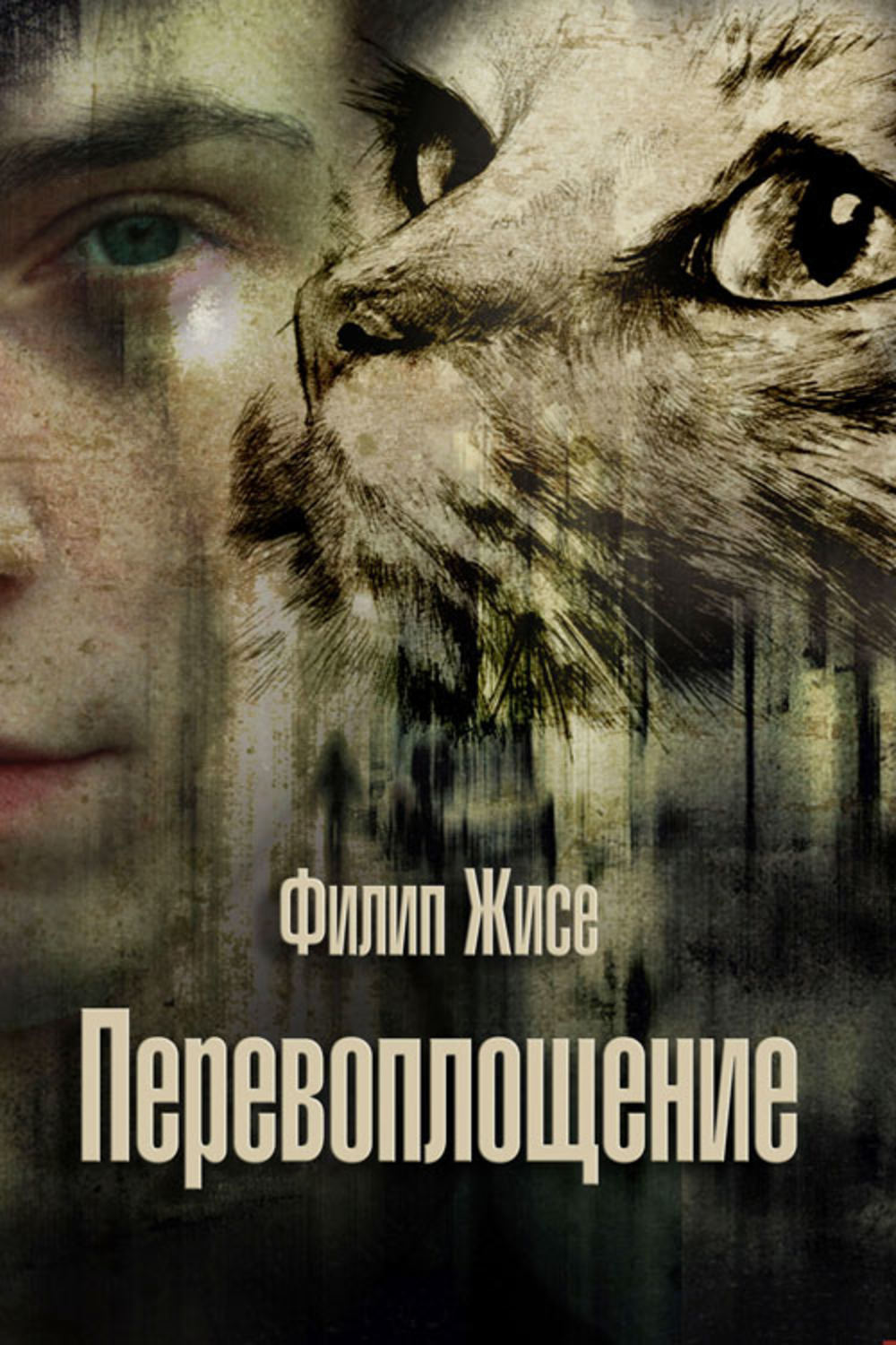 Обложка книги «Перевоплощение»