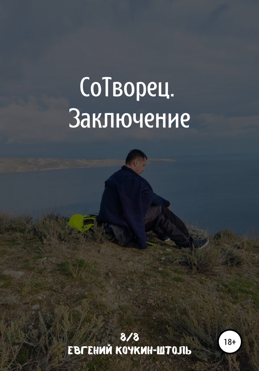Обложка книги «Сотворец. Заключение»
