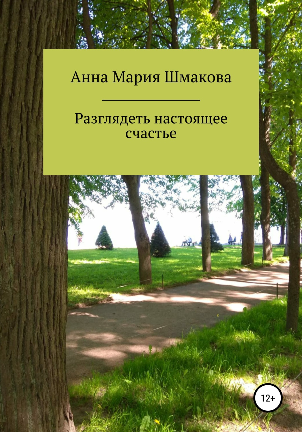 Обложка книги «Разглядеть настоящее счастье»