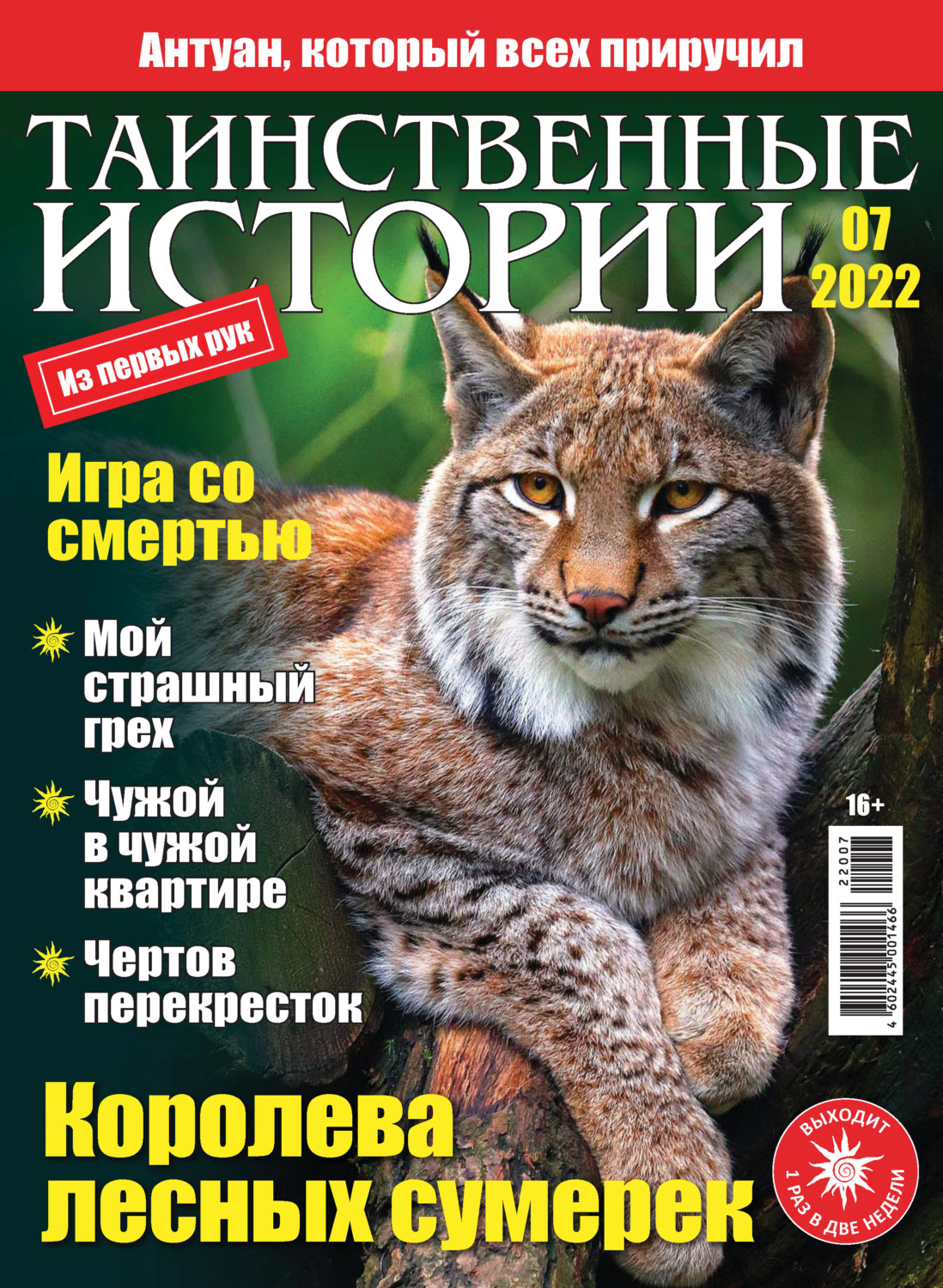 Обложка книги «Таинственные истории №07/2022»