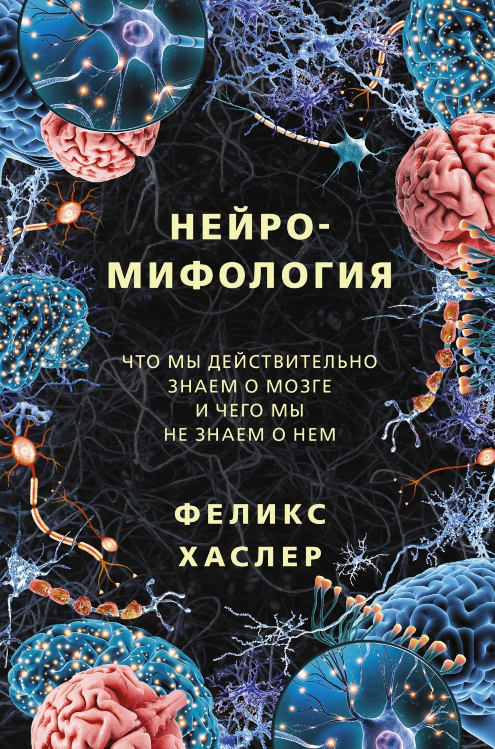 Обложка книги «Нейромифология. Что мы действительно знаем о мозге и чего мы не знаем о нем»