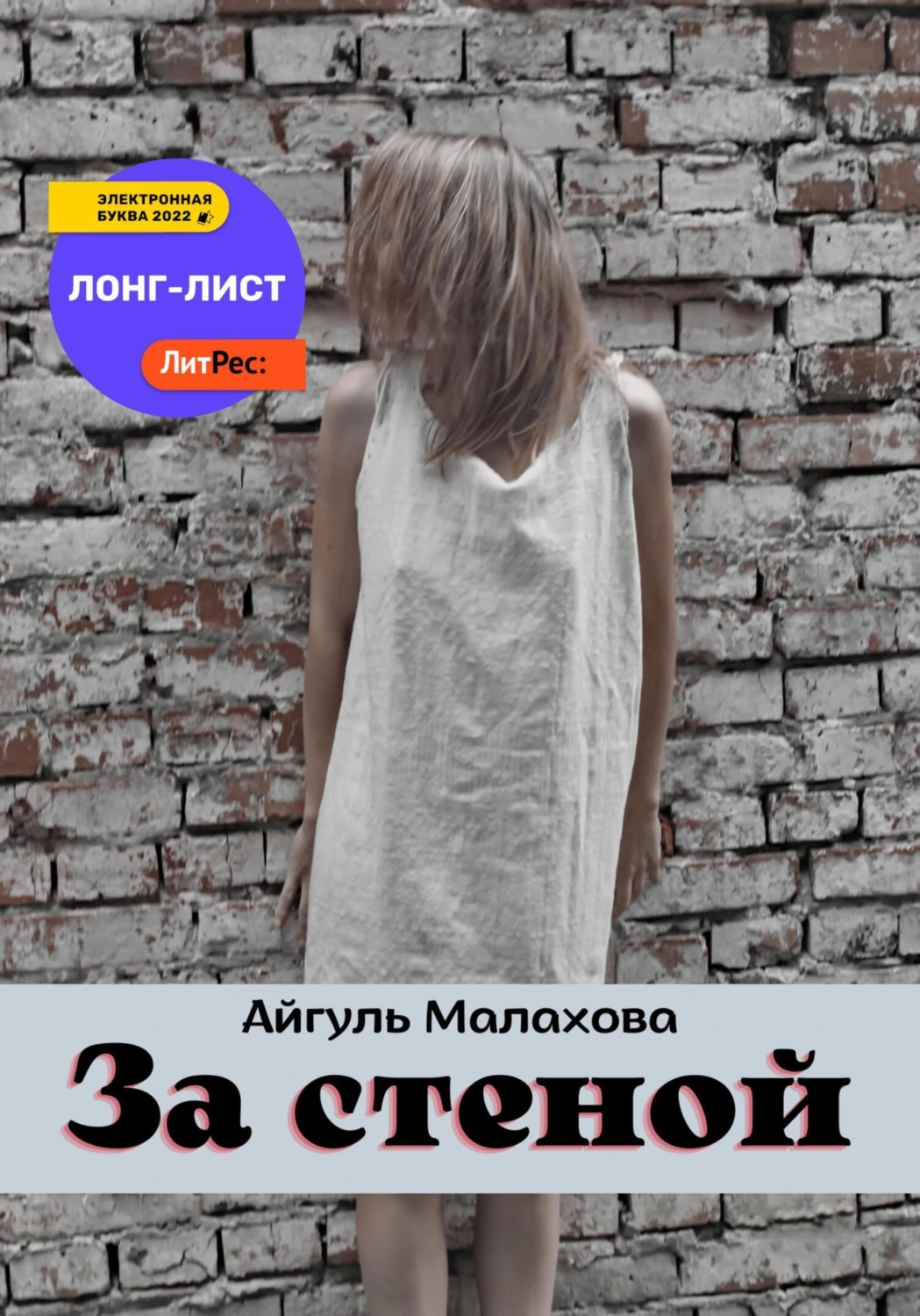 Обложка книги «За стеной»