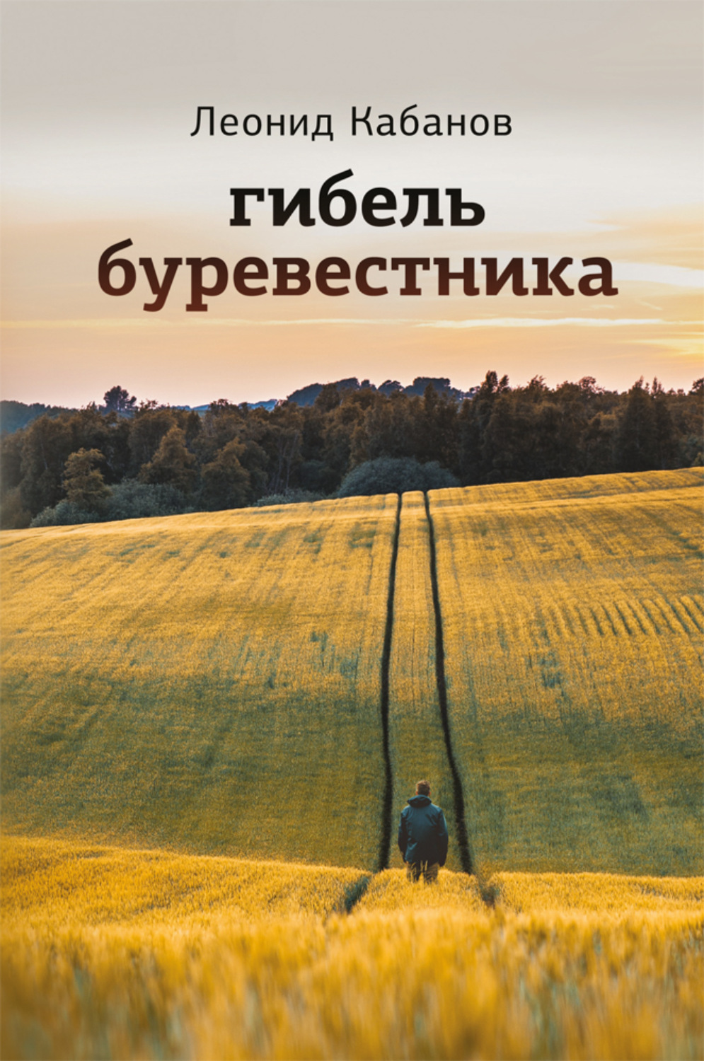 Обложка книги «Гибель буревестника»