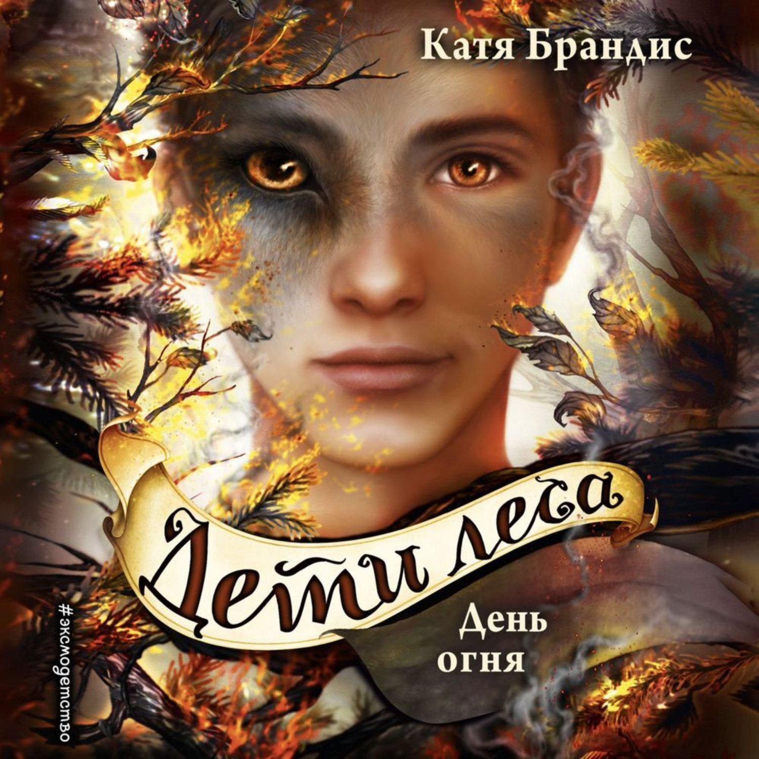 Обложка книги «День огня»