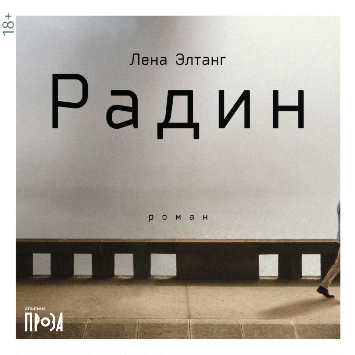 Обложка книги «Радин»