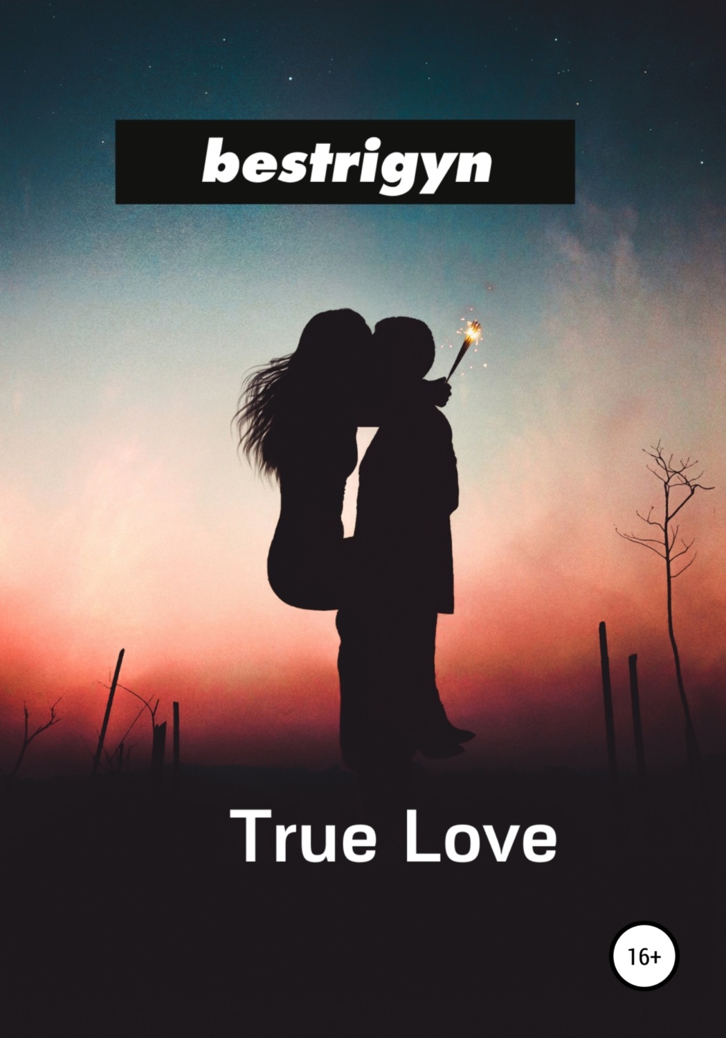 Обложка книги «True Love»
