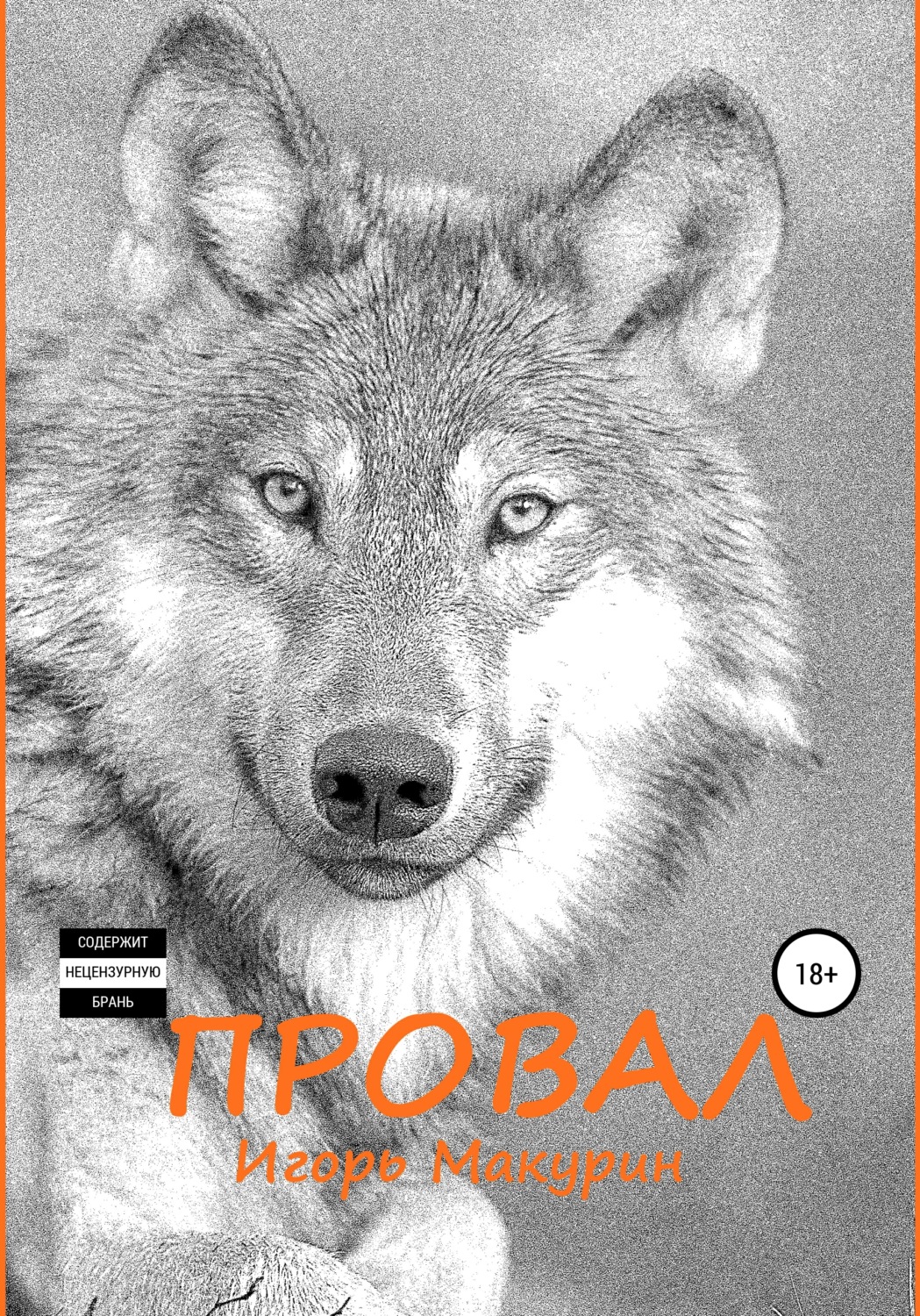 Обложка книги «Провал»