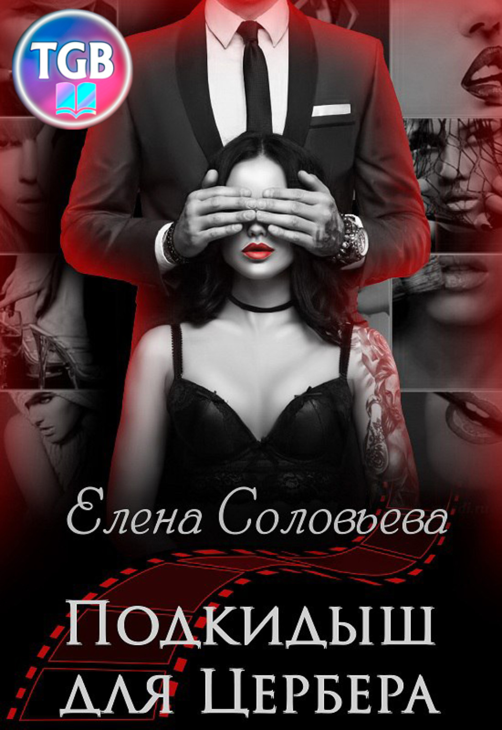 Обложка книги «Подкидыш для Цербера»