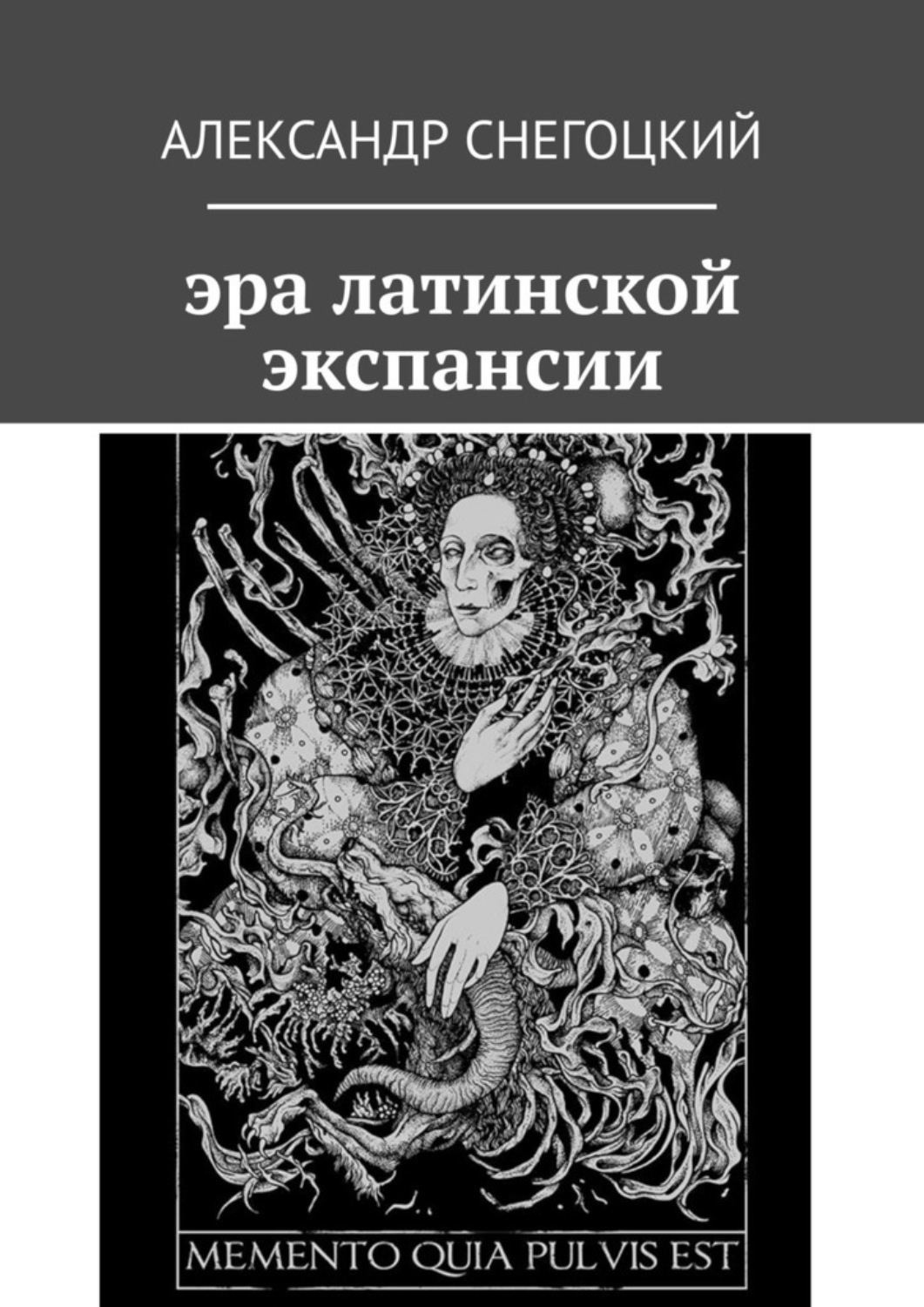 Обложка книги «Эра латинской экспансии»