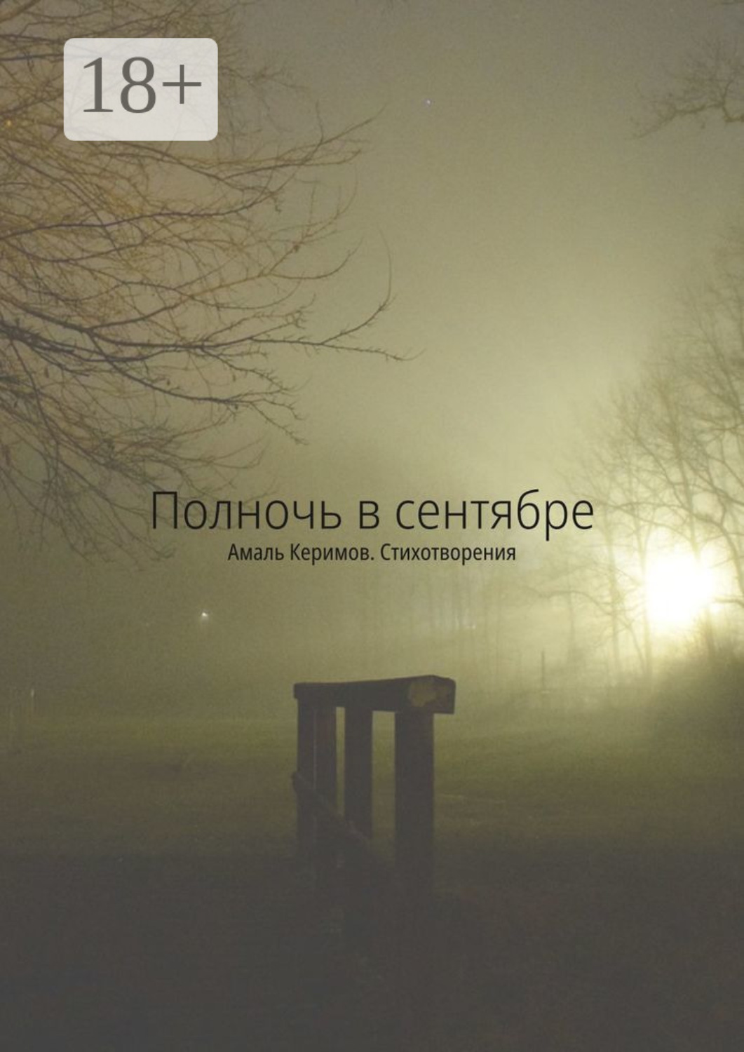 Обложка книги «Полночь в сентябре. Стихотворения»