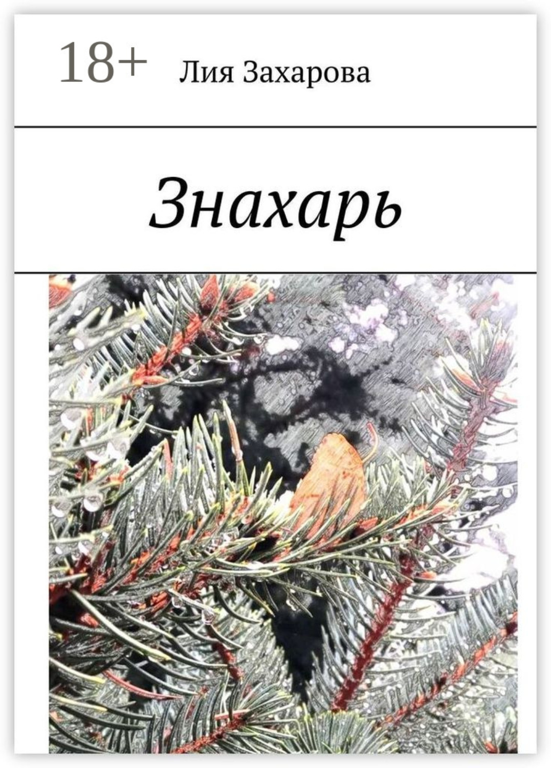 Обложка книги «Знахарь»