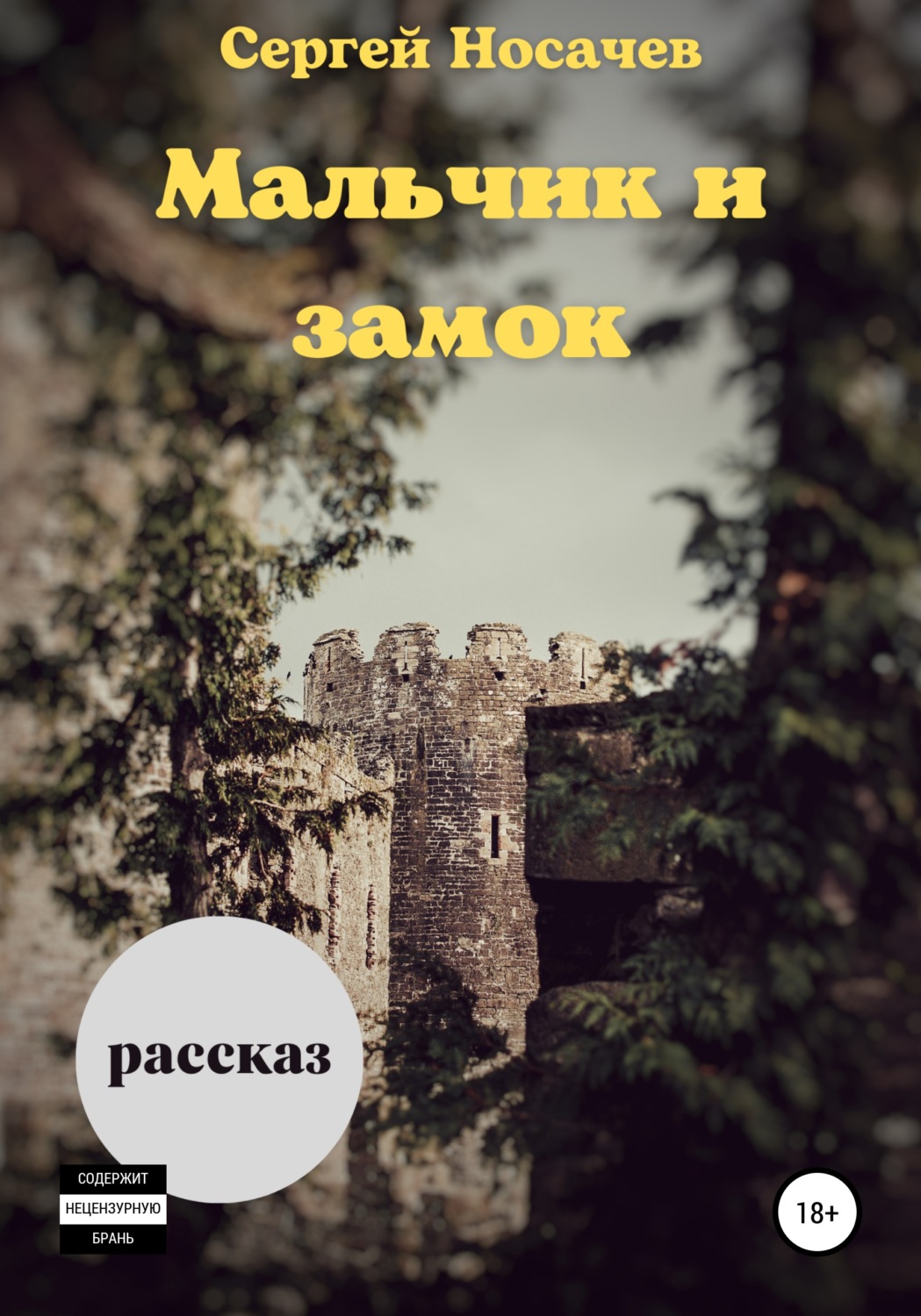Обложка книги «Мальчик и замок»