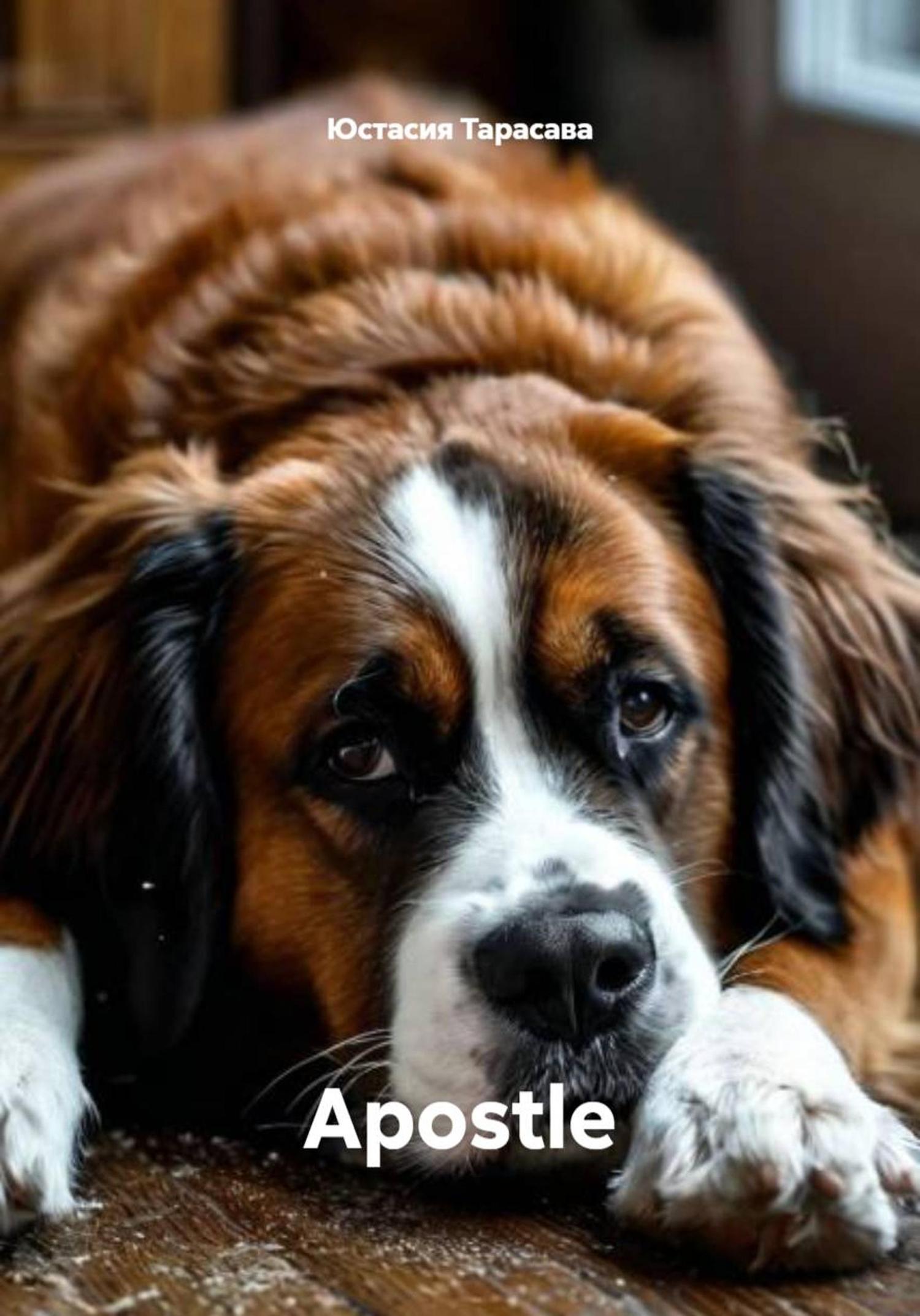 Обложка книги «Apostle»