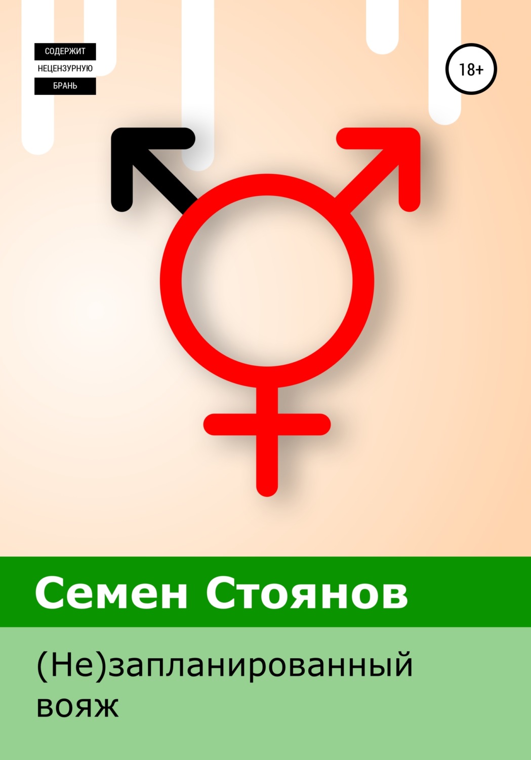 Обложка книги «(Не)запланированный вояж»
