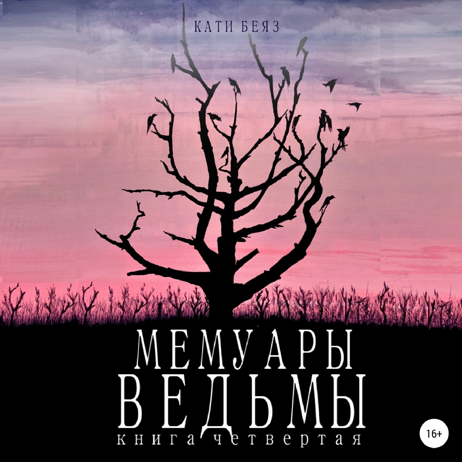 Обложка книги «Мемуары ведьмы 4»