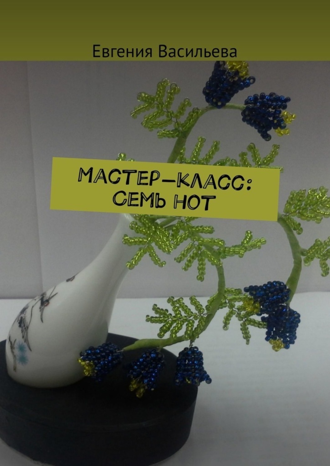 Обложка книги «Мастер-класс: cемь нот»