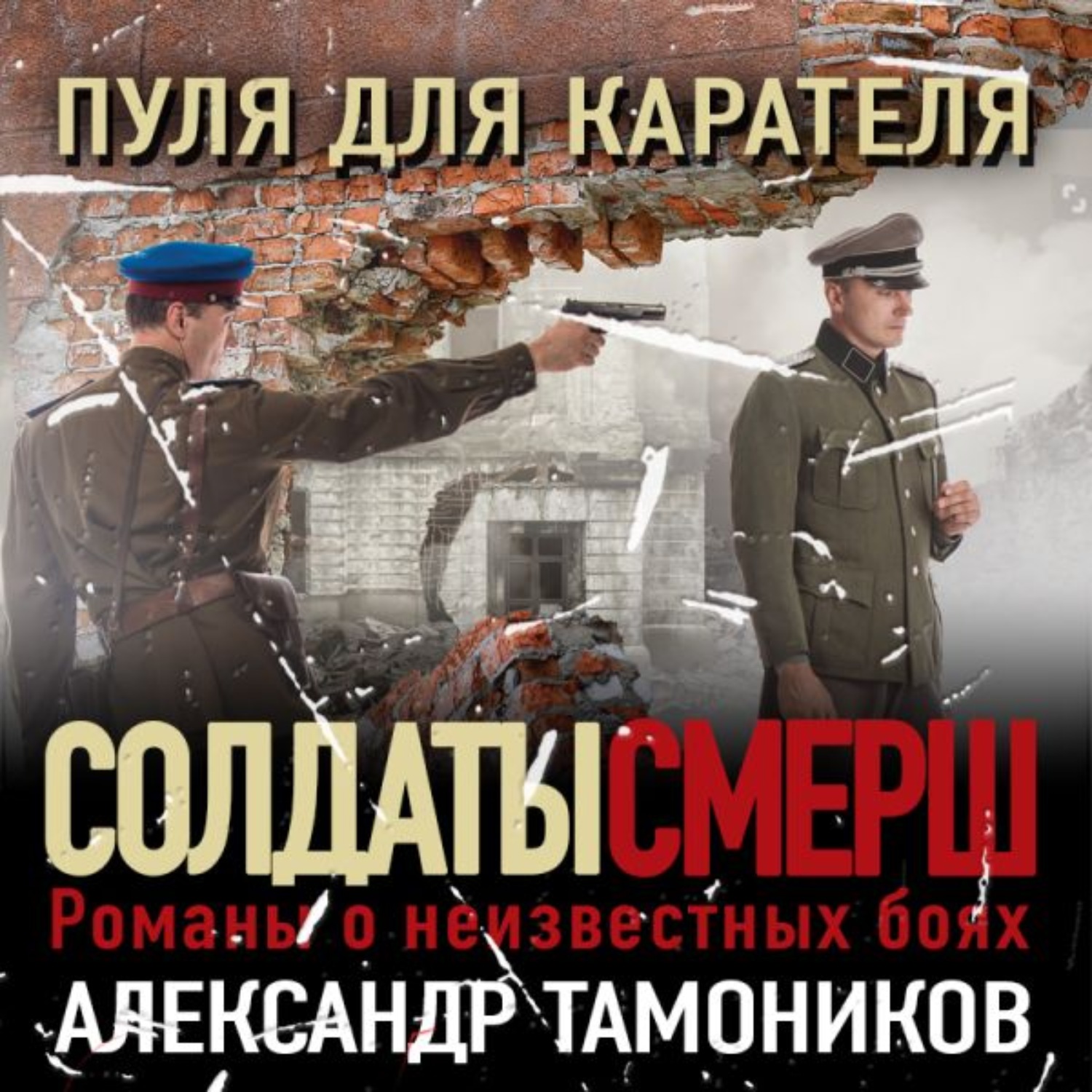 Обложка книги «Пуля для карателя»