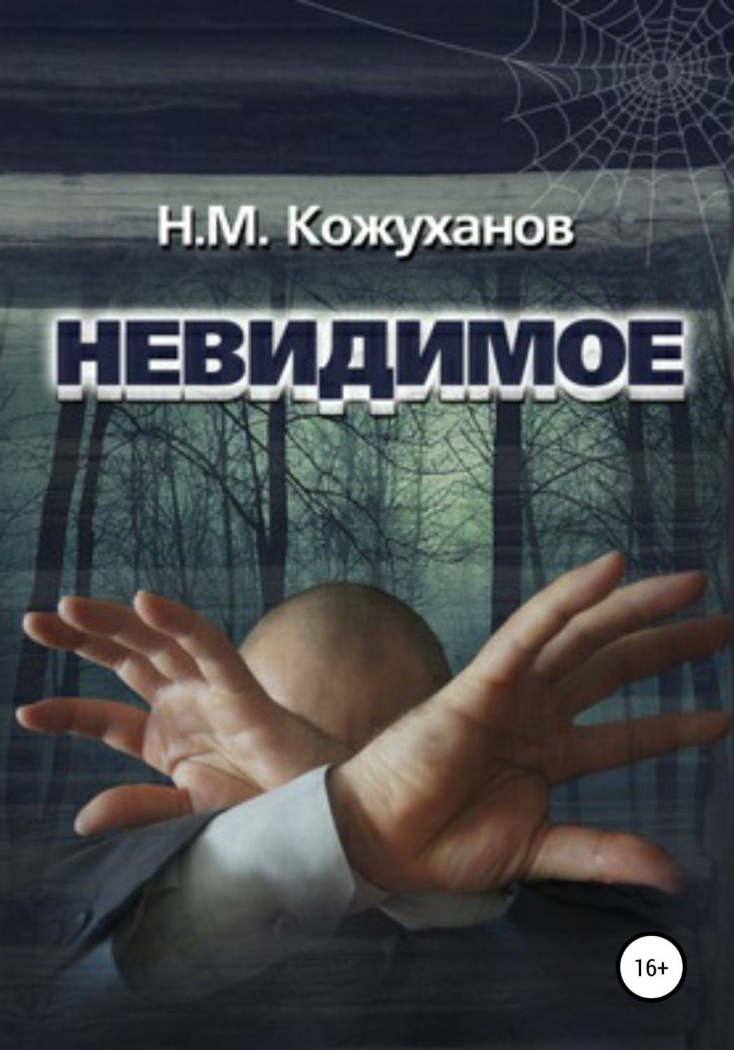 Обложка книги «Невидимое»