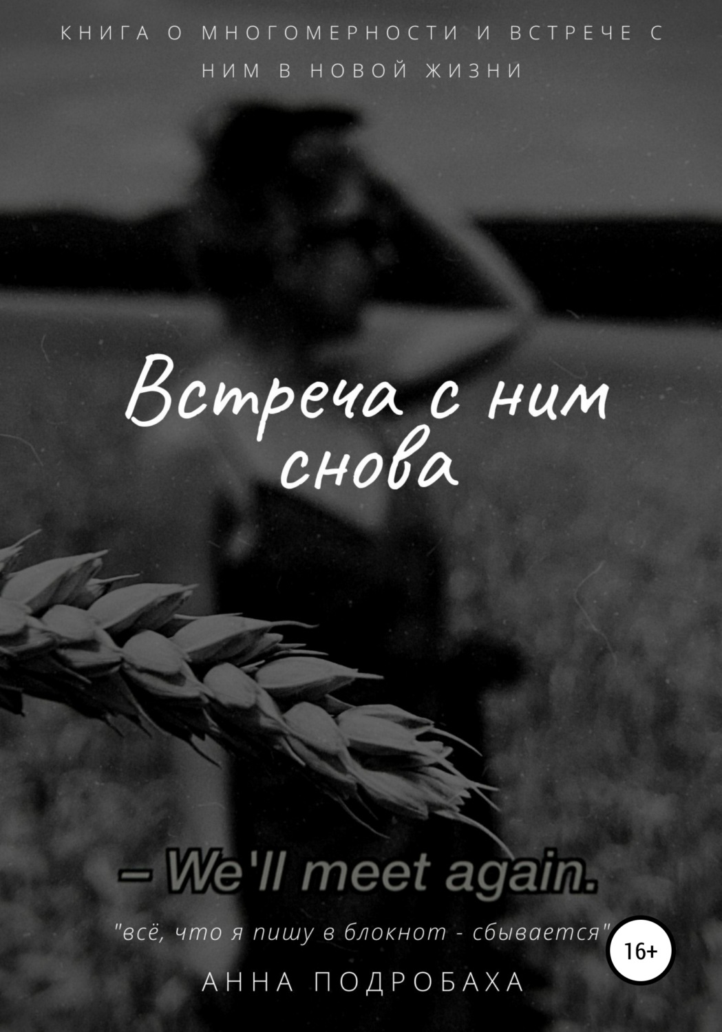 Обложка книги «Встреча с ним снова»