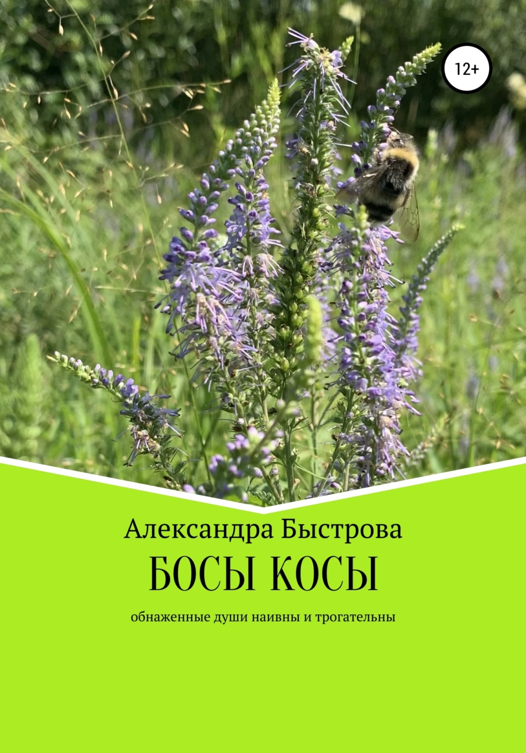 Обложка книги «БОСЫ КОСЫ. Маленькие эпизоды большого пути»