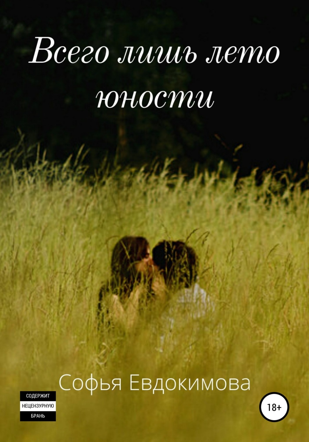 Обложка книги «Всего лишь лето юности»
