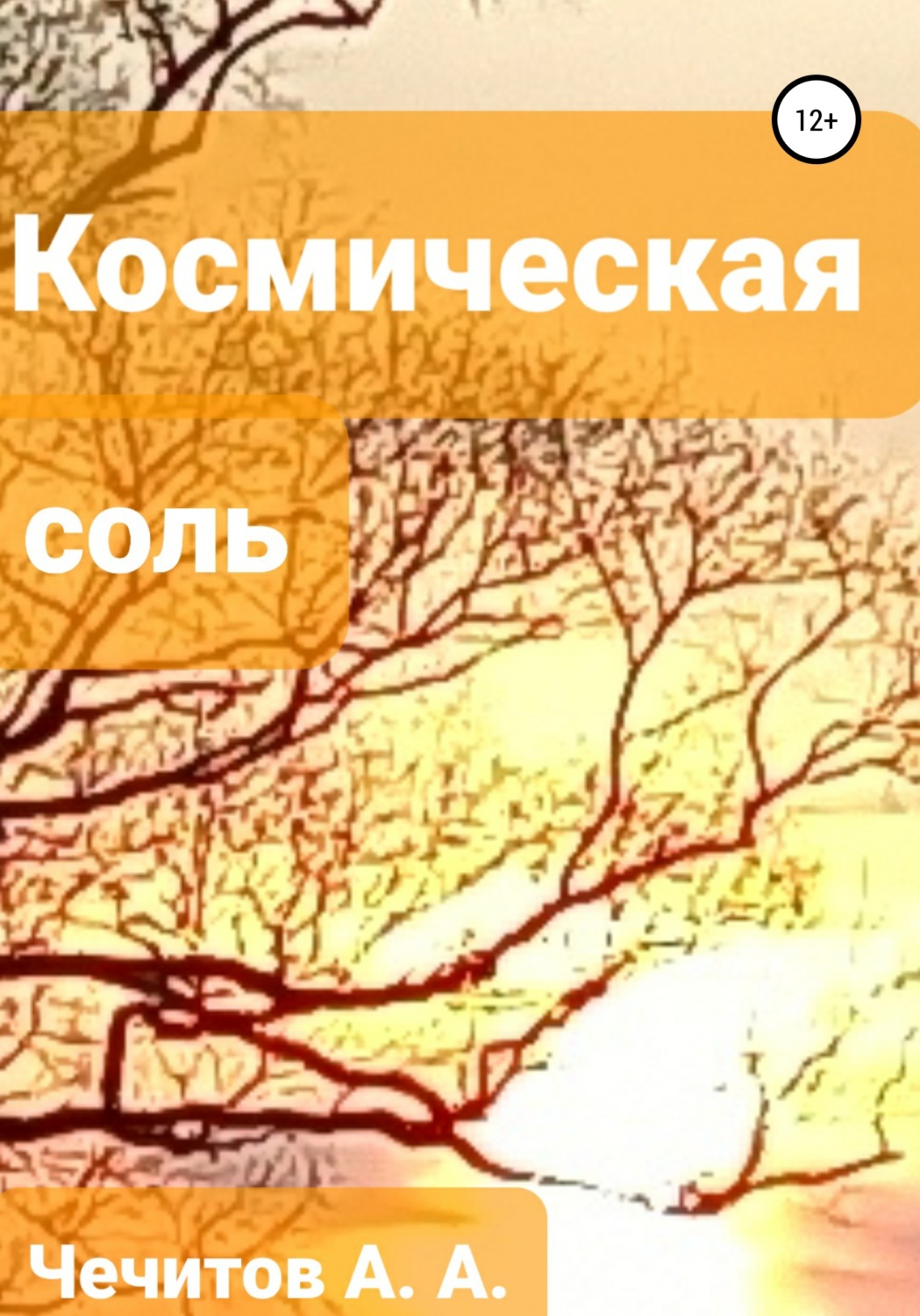 Обложка книги «Космическая соль»