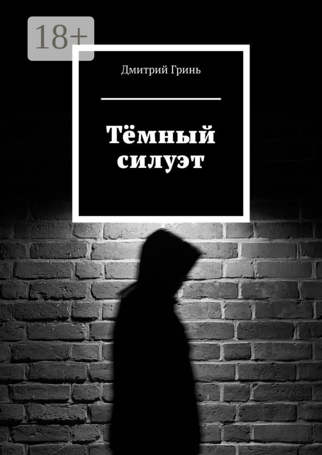 Обложка книги «Тёмный силуэт»