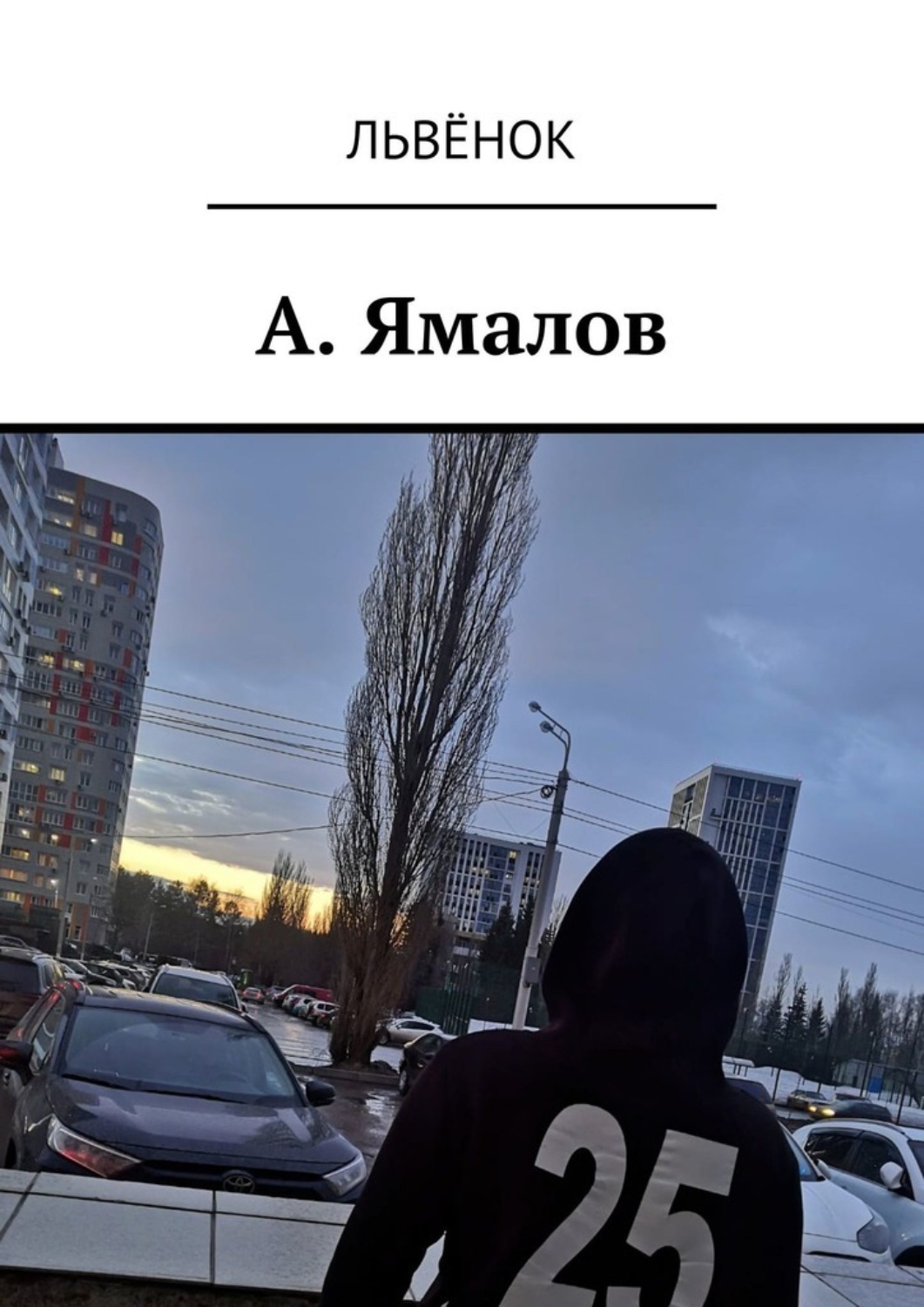 Обложка книги «А. Ямалов»