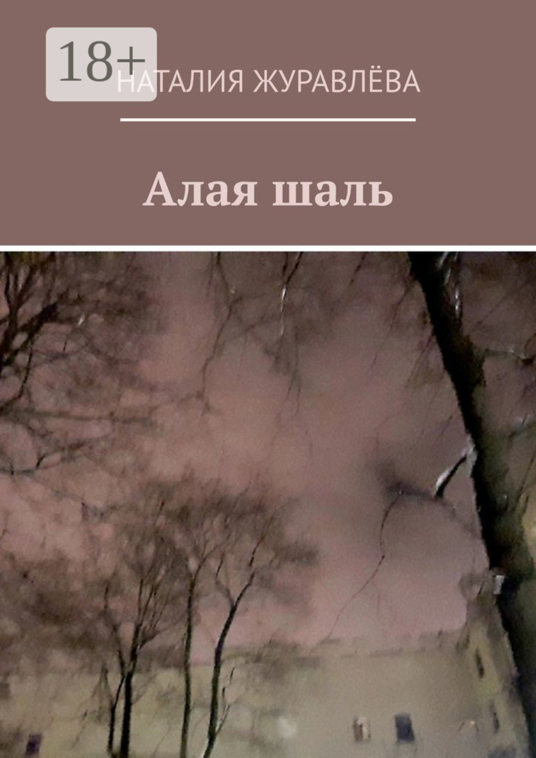 Обложка книги «Алая шаль»