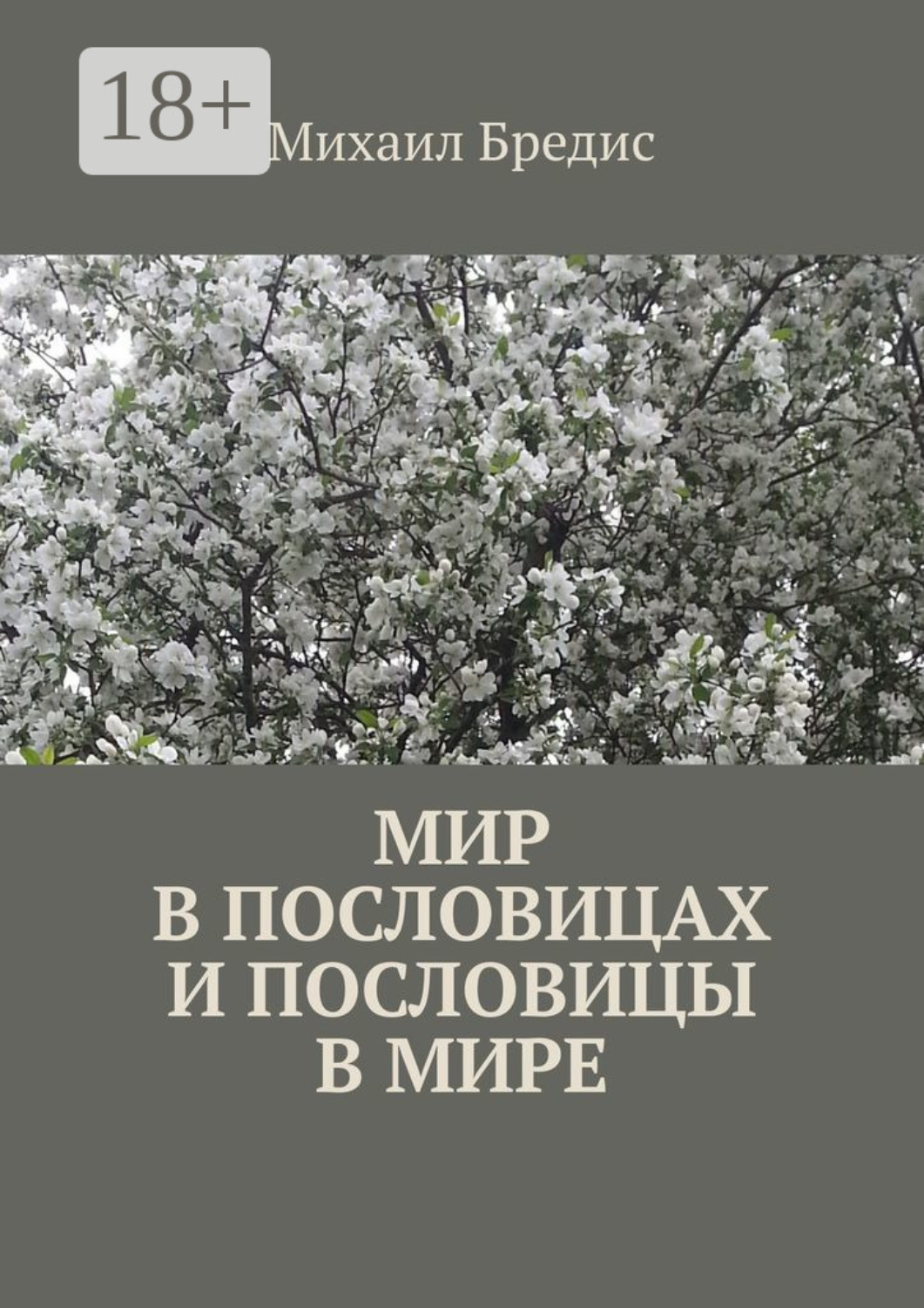 Обложка книги «Мир в пословицах и пословицы в мире»