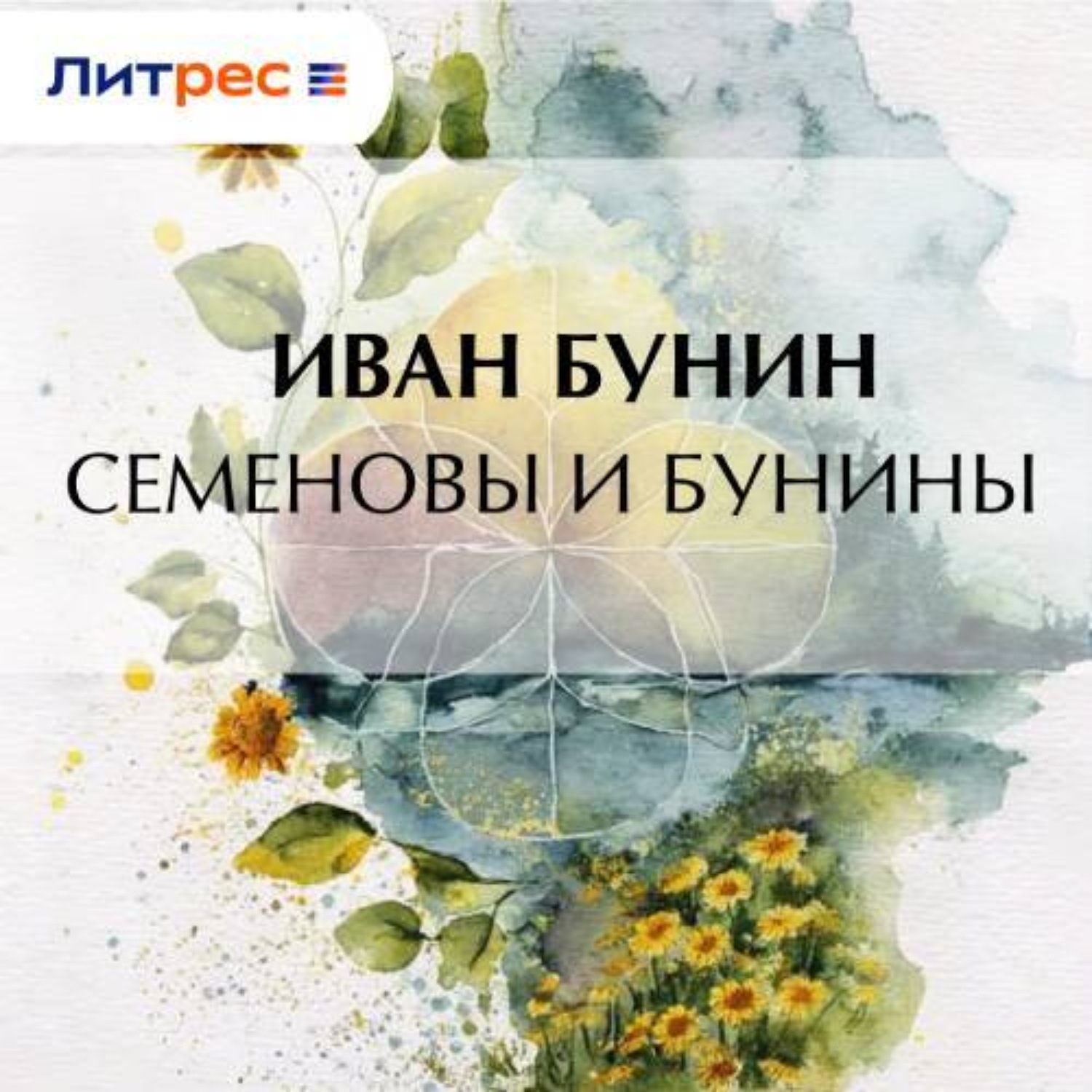 Обложка книги «Семеновы и Бунины»