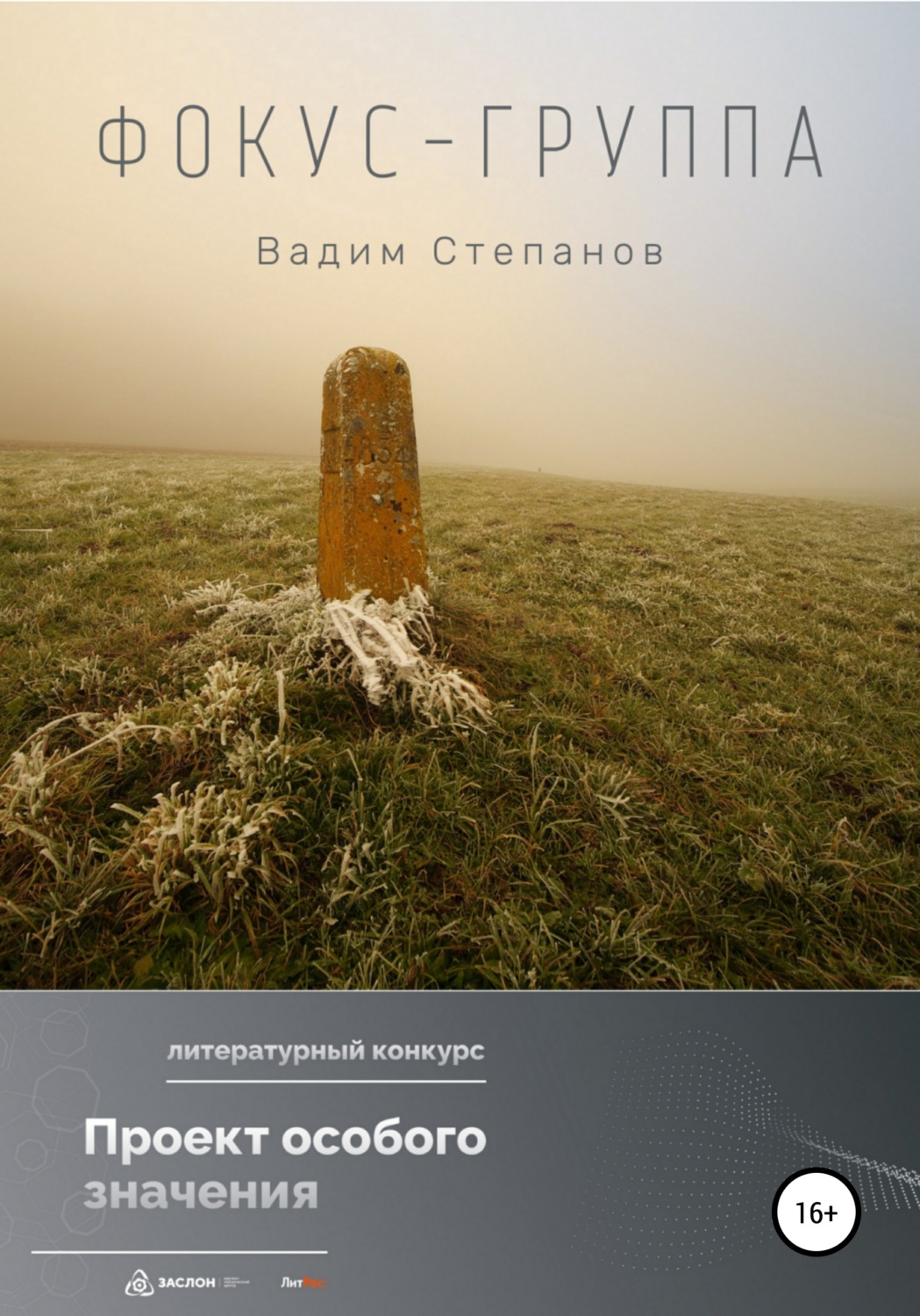 Обложка книги «Фокус-группа»
