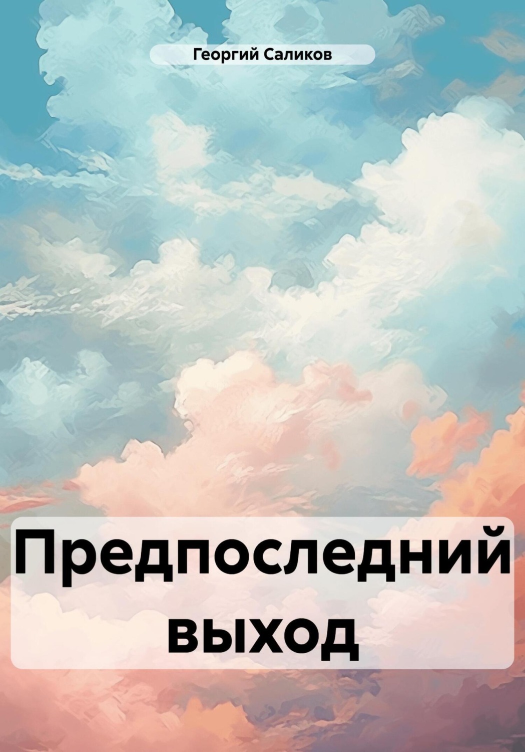 Обложка книги «Предпоследний выход»