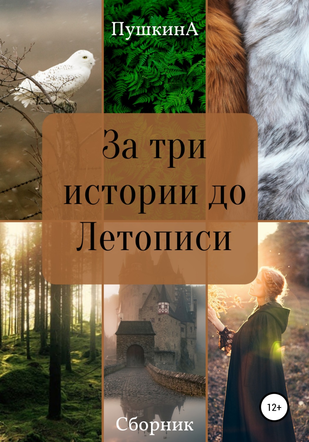 Обложка книги «За три истории до Летописи»