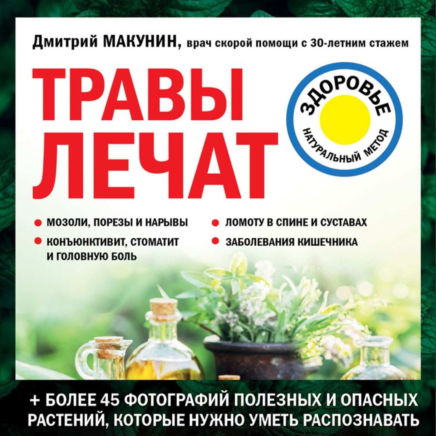 Обложка книги «Травы лечат»