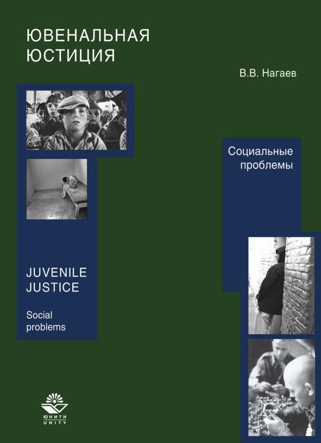 Обложка книги «Ювенальная юстиция. Социальные проблемы»