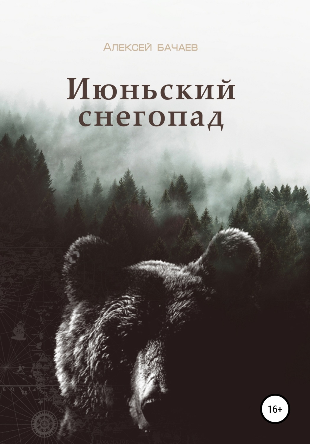 Обложка книги «Июльский снегопад»