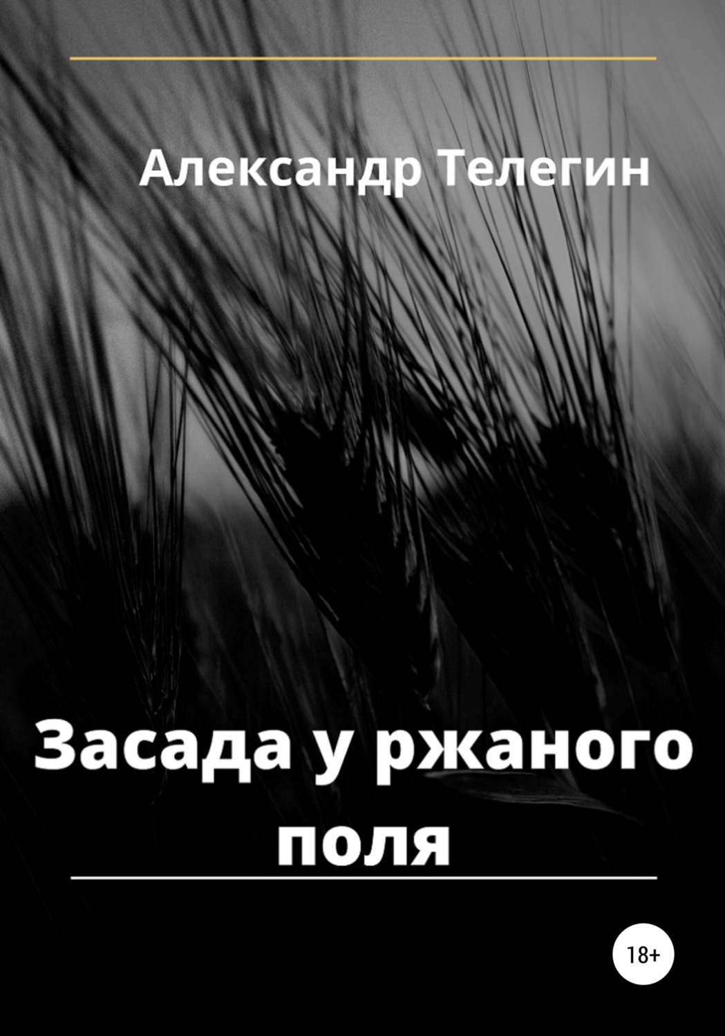 Обложка книги «Засада у ржаного поля»