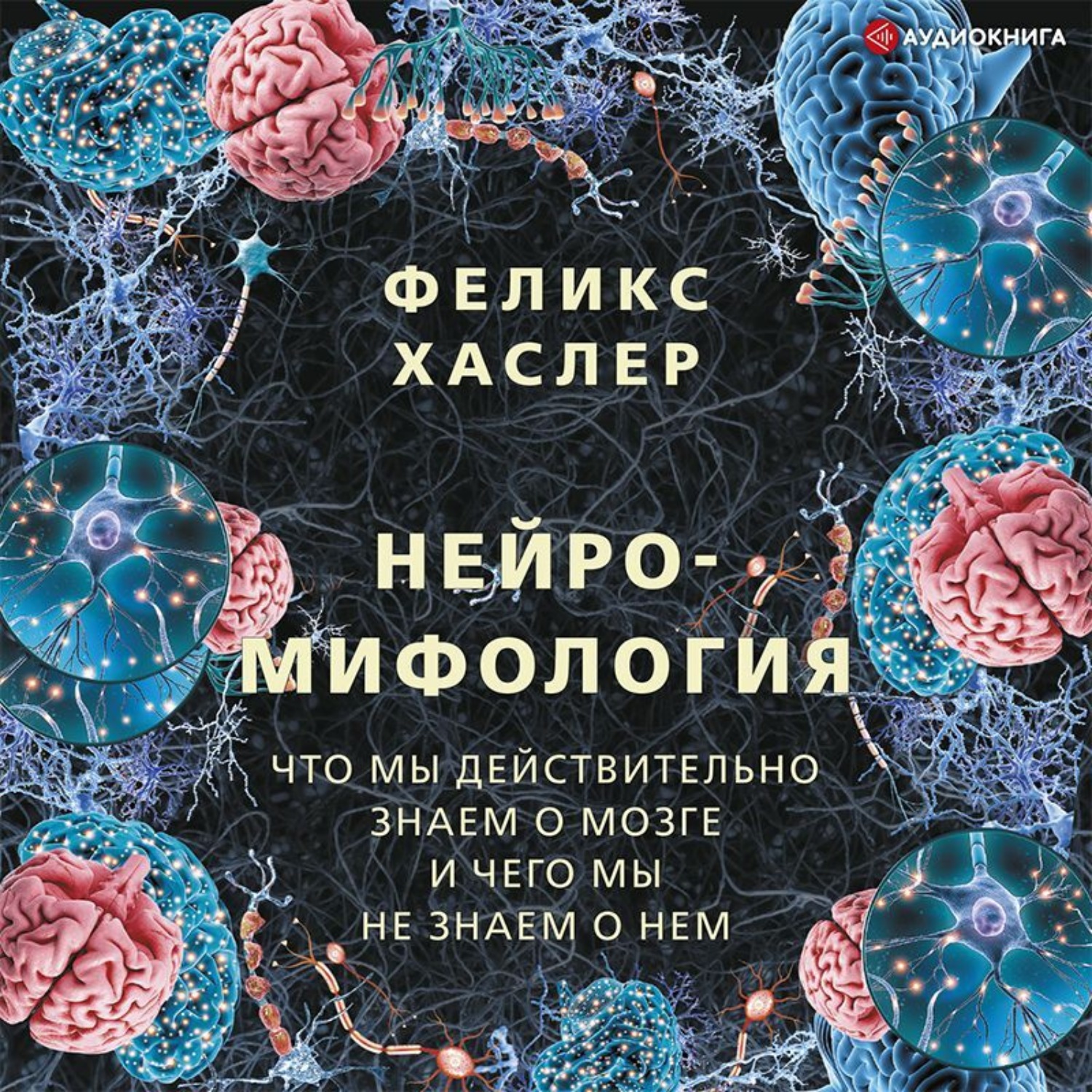 Обложка книги «Нейромифология. Что мы действительно знаем о мозге и чего мы не знаем о нем»