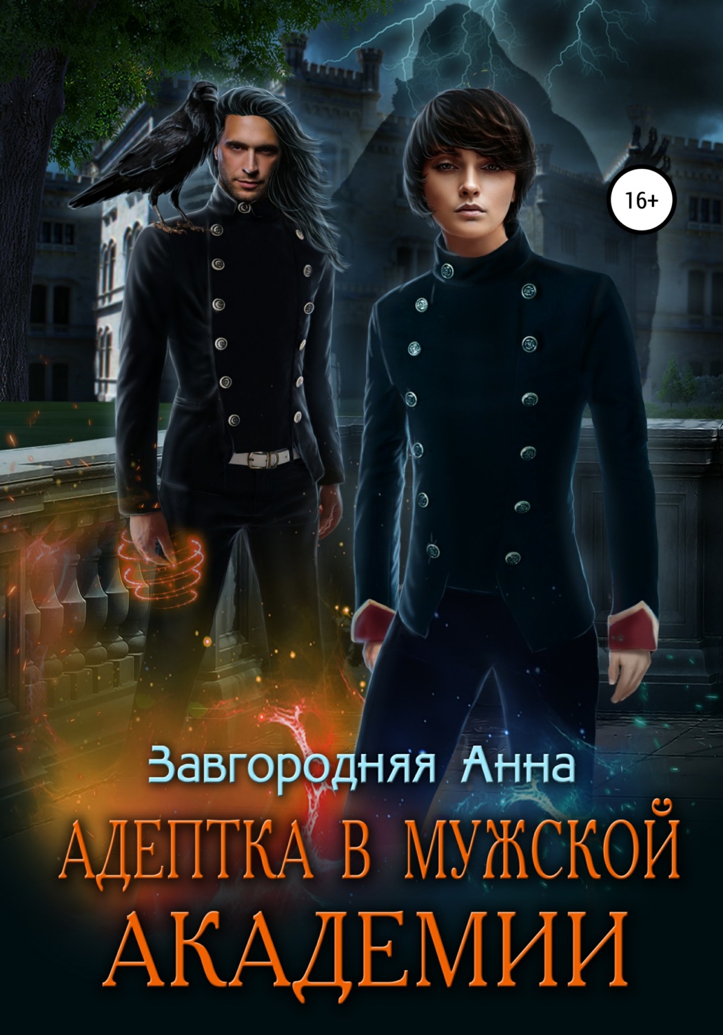 Обложка книги «Адептка в Мужской Академии»
