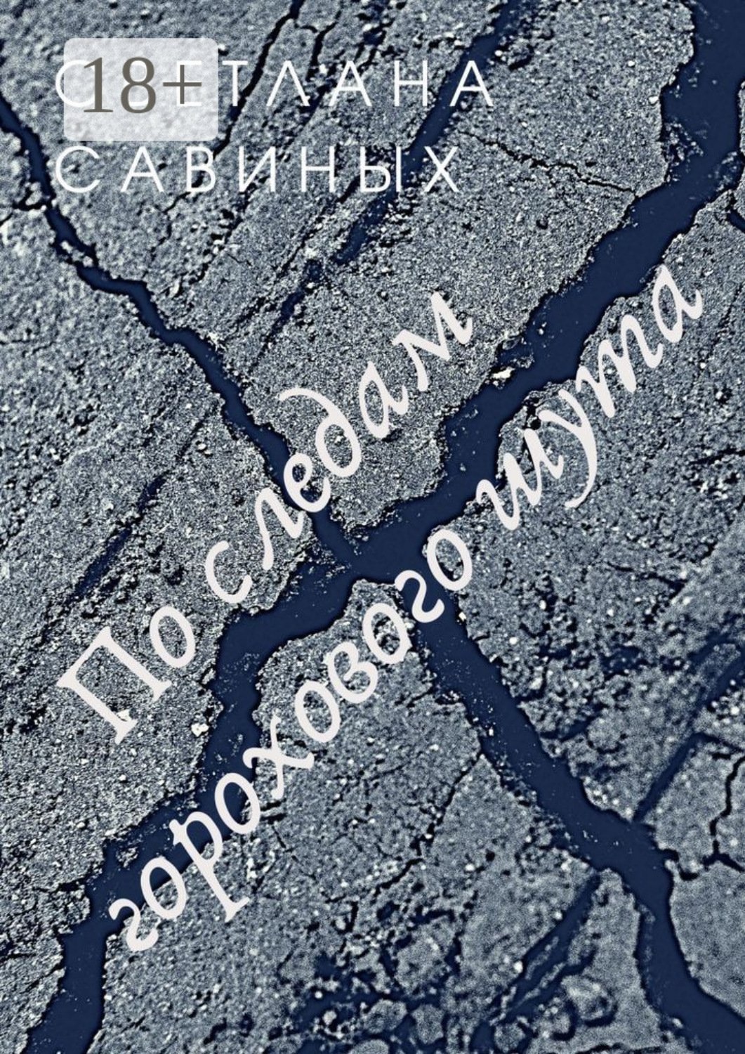 Обложка книги «По следам горохового шута»