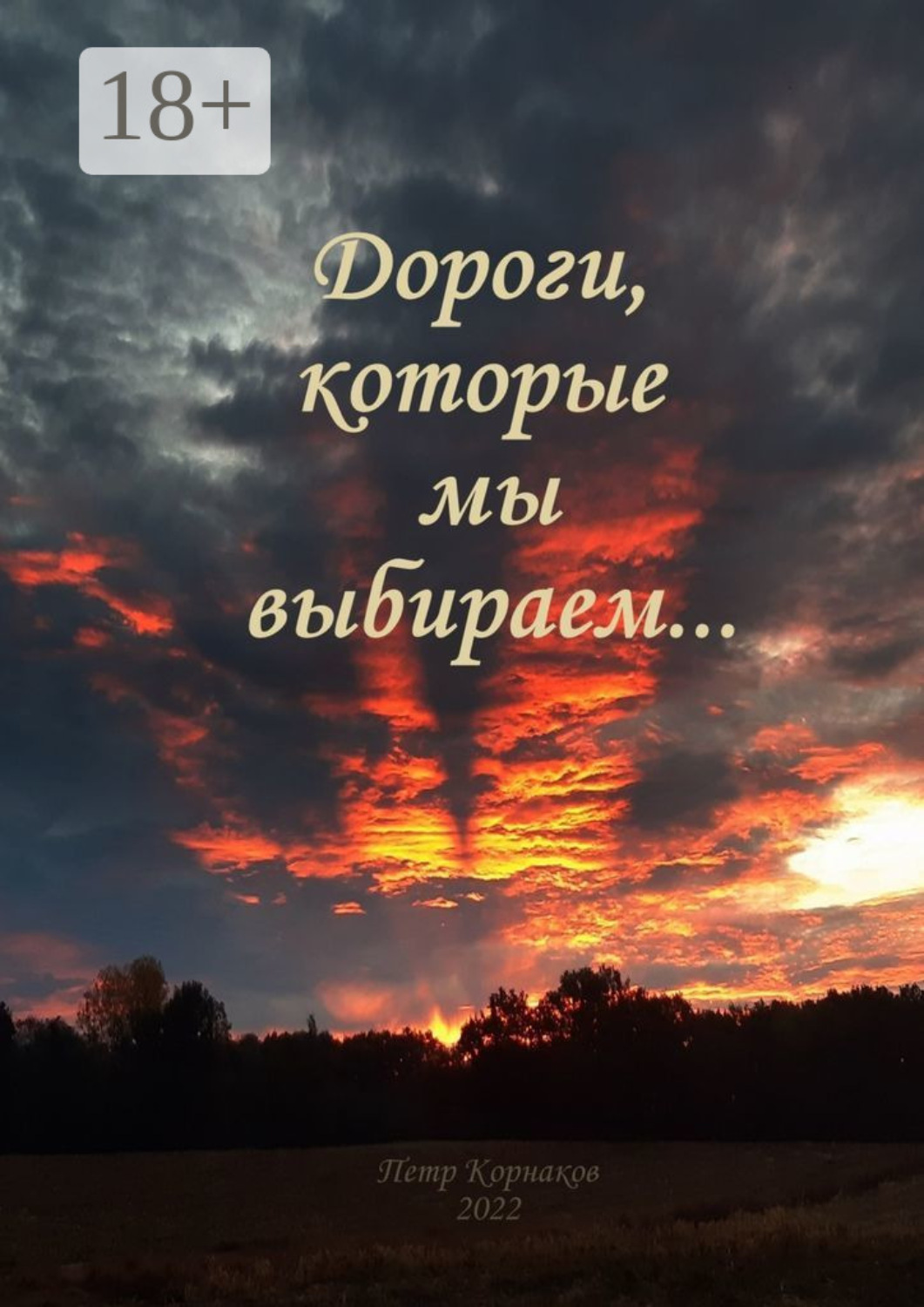 Обложка книги «Дороги, которые мы выбираем… Сентябрь—декабрь 2021»