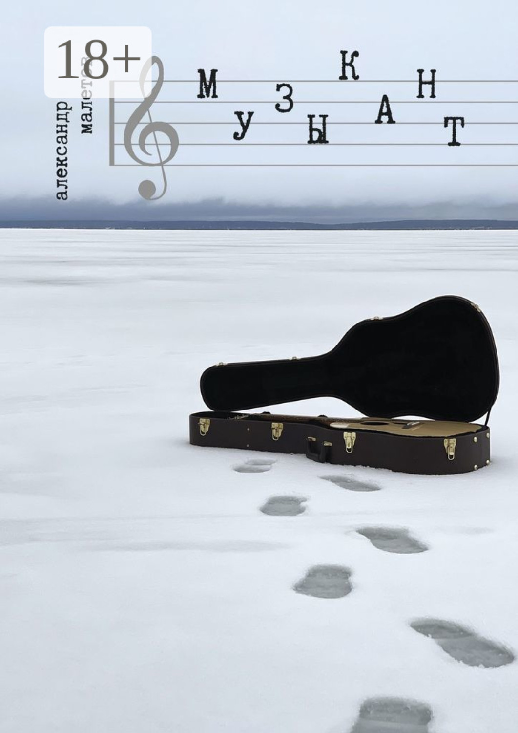 Обложка книги «Музыкант»