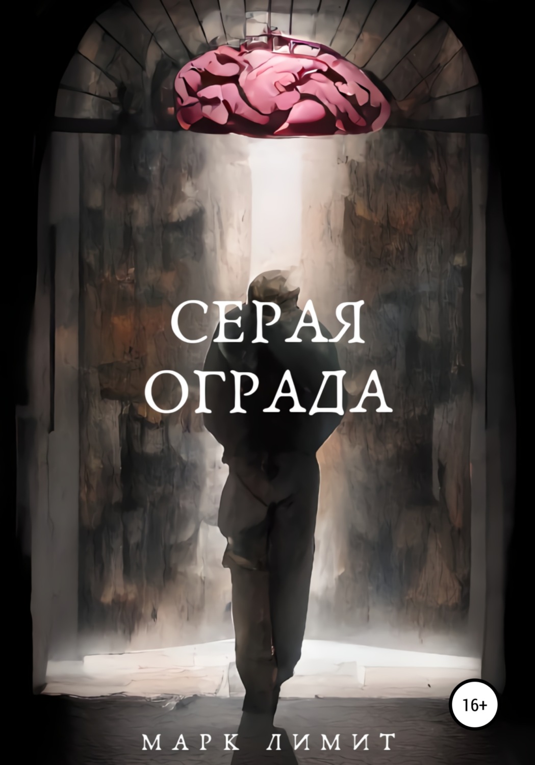 Обложка книги «Серая ограда»